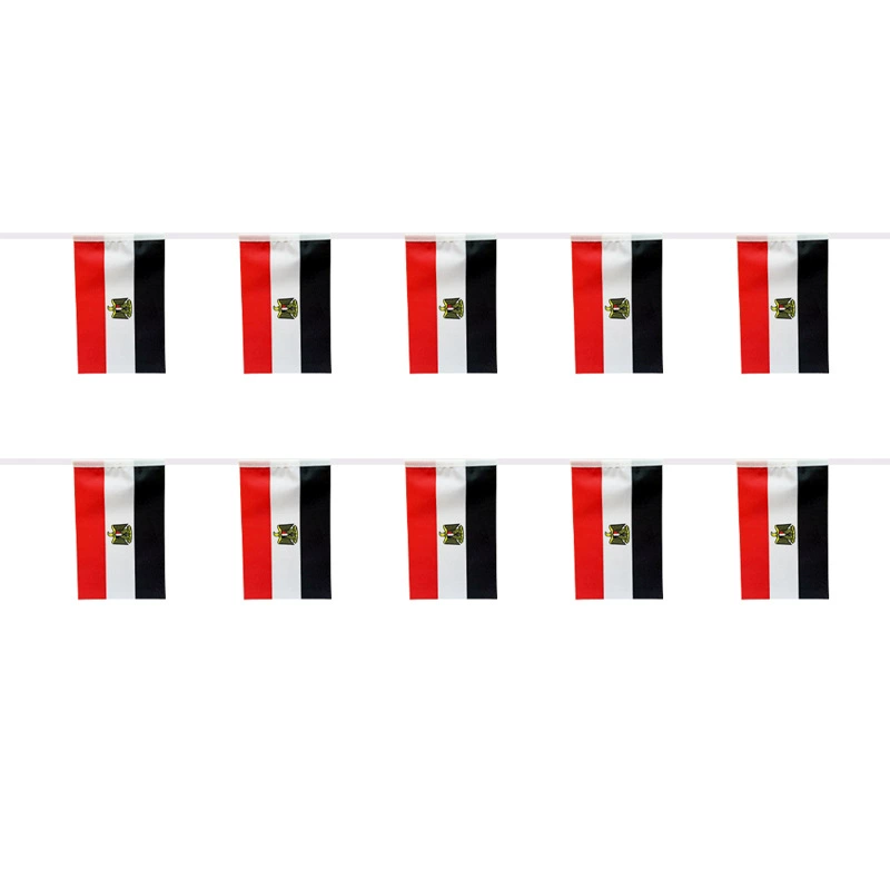 Car Accessories Egypt - SKY FLAG Egypt bunting flags 14x21cm